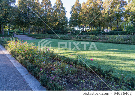 Bern's Rose Garden Bern's Rose Garden 94626462