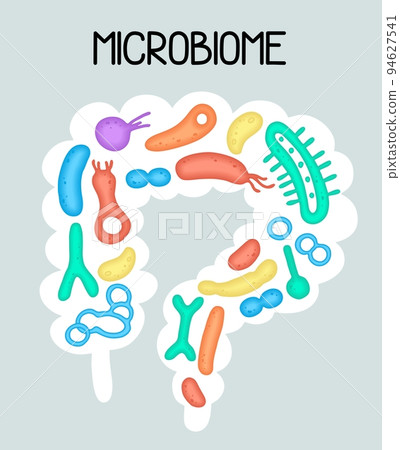 Human microbiome illustration with intestines and bacteria Vector picture. Gastroenterologist. Bifidobacteria, lactobacilli. Lactic acid bacteria. 94627541