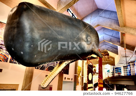 Kochi Prefecture Roadside Station Kira Messe Muroto Whale Museum Kochi Prefecture Roadside Station Kira Messe Muroto Whale Museum 94627766