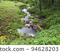 Mountain stream Mountain stream 94628203