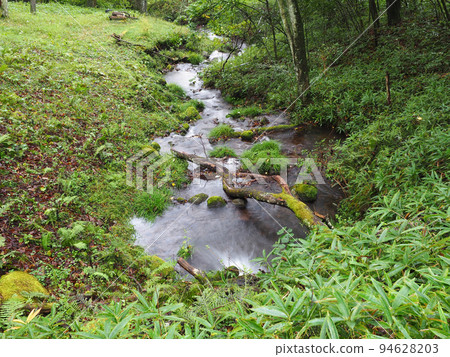Mountain stream Mountain stream 94628203