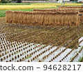 Rice reaping Rice reaping 94628217