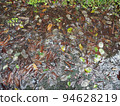 Fallen leaves in a puddle Fallen leaves in a puddle 94628219