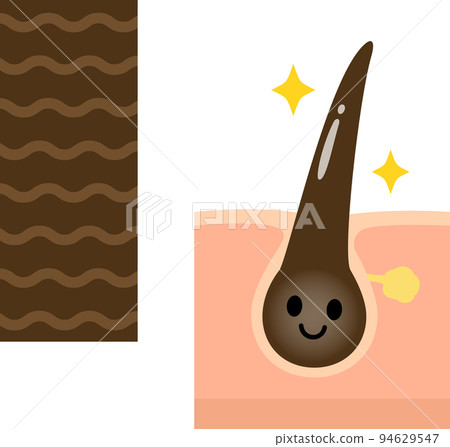 Cuticle image and hair character 94629547