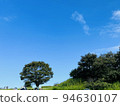 樹和藍天 94630107