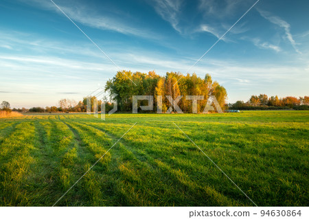 A beautiful view of a meadow with autumn trees 94630864