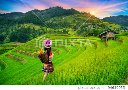 Hmong ethnic minority standing on rice terraces in Mu Cang Chai, Yen Bai, Vietnam. Hmong ethnic minority standing on rice terraces in Mu Cang Chai, Yen Bai, Vietnam. 94630955