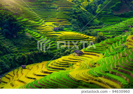 Rice terraces in Mu cang chai, Vietnam. Rice terraces in Mu cang chai, Vietnam. 94630960