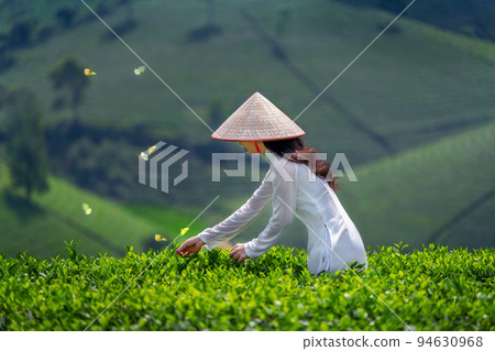 Asian woman wearing Vietnam culture traditional in green tea field, Vietnam. Asian woman wearing Vietnam culture traditional in green tea field, Vietnam. 94630968