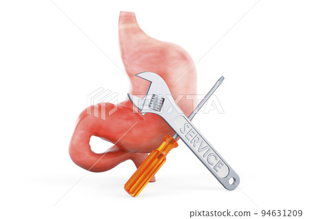 Human stomach with screwdriver and wrench, 3D rendering Human stomach with screwdriver and wrench, 3D rendering 94631209