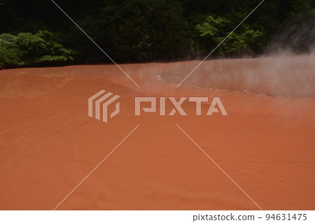[Beppu City, Oita Prefecture] Hell Tour (Blood Pond Jigoku) 94631475