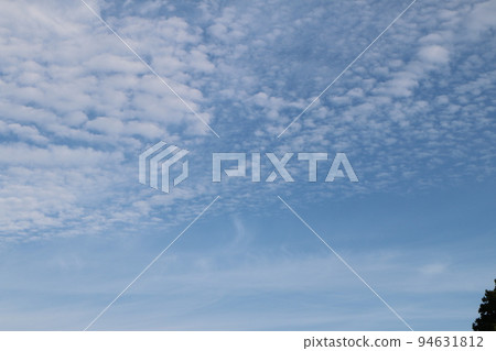 秋天 藍天 白雲 94631812