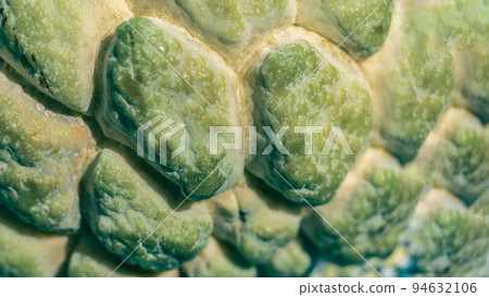 Abstract mystic background beauty nature wallpaper. Real photo close-up macro sugar custard apple annona exotic tropical fruit. Oval scaly skin texture surface rough. Pale green beige color 94632106