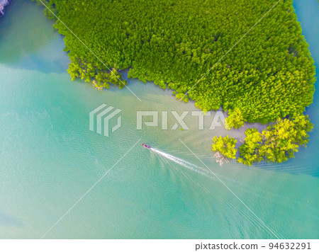 Aerial view mangrove tree forest sea bay sunrise Aerial view mangrove tree forest sea bay sunrise 94632291