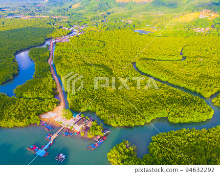 Aerial view mangrove tree forest sea bay sunrise Aerial view mangrove tree forest sea bay sunrise 94632292