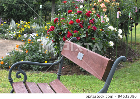 [長野縣中野市]一本木公園的大麗花 94632386