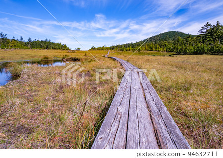Kinunuma Marsh in late summer 94632711