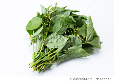 Moroheija 94633532