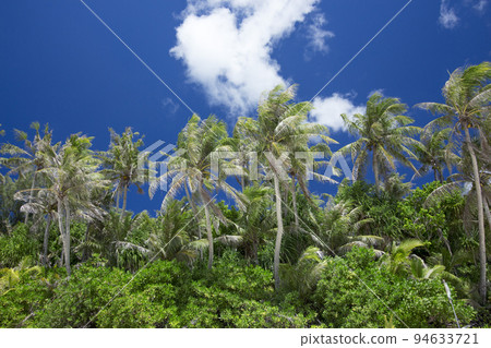 beautiful beach, sandy beach, sea beautiful beach, sandy beach, sea 94633721