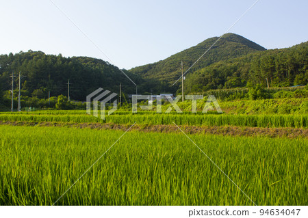 鄉村 94634047