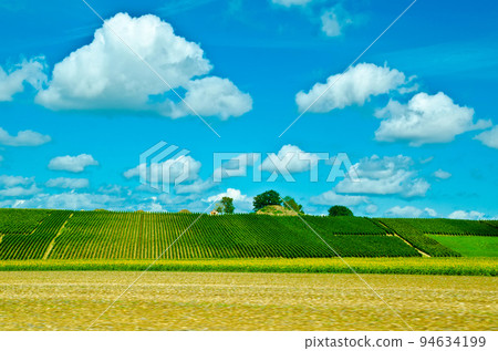 green field green field 94634199