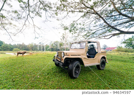 Off road car in tree forest on green grass 94634597