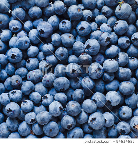 blueberry background 94634685
