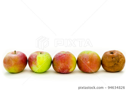 rotten apple rotten apple 94634826