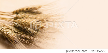Golden wheat spikelets with grain background top view Golden wheat spikelets with grain background top view 94635222