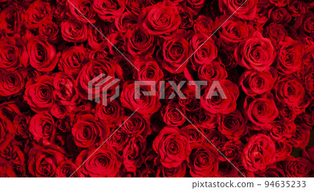 Image of beautiful red roses laid out Image of beautiful red roses laid out 94635233