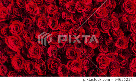 Image of beautiful red roses laid out Image of beautiful red roses laid out 94635234