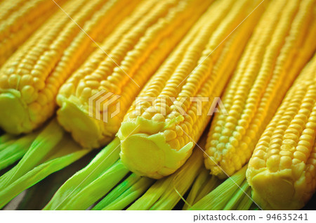 corn background corn background 94635241