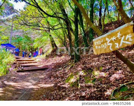 鍋部山登山口附近的小路 鍋部山登山口附近的小路 94635266