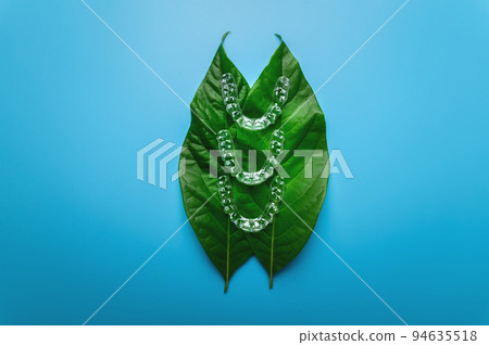 Invisible plastic braces three pieces lie on a green succulent leaf from a flower on a blue background, studio shot 94635518