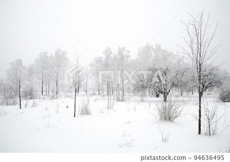winter landscape 94636495
