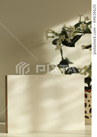 white paper sheet with jasmine plant in a pot on white table with natural shadows and sunlight 94636620