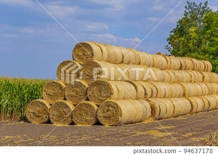 Haystack Rolls Stack Farm 94637178