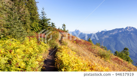 Canadian Landscape with Fall Colors during sunny day. Elk Mountain 94637919