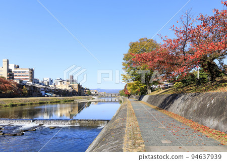 京都市，秋天的鴨川，從四條到三條 94637939