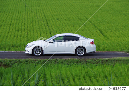 與綠色稻田相映成趣的白色轎車 94638677