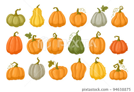 Cartoon pumpkins, halloween squash, fall... - Stock Illustration ...