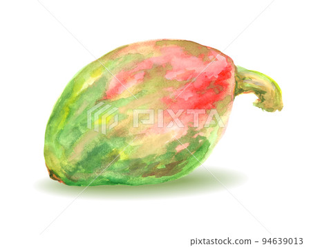 Watercolor hand drawn green Pumpkin. Watercolor hand drawn green Pumpkin. 94639013