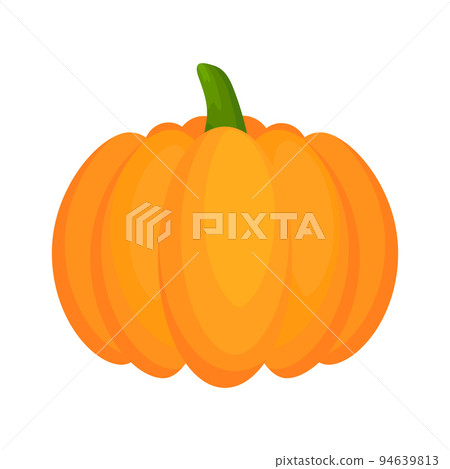 Pumpkin flat vegetable. 94639813