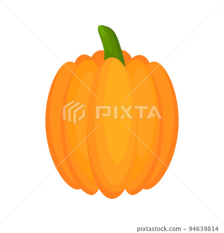 Pumpkin flat vegetable. 94639814