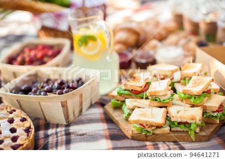 outdoor picnic, nature in the garden, snacks, delicious, close-up 94641271