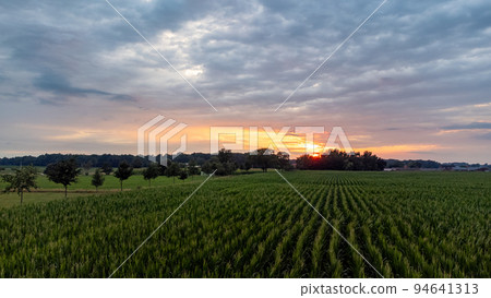 Aerial Drone Shot of a beautiful Green and Yellow Agricultural Plantations Bordering with Wild Aerial Drone Shot of a beautiful Green and Yellow Agricultural Plantations Bordering with Wild 94641313