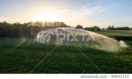 Aerial view by a drone of a potato field being irrigated by a gigantic and powerful irrigation Aerial view by a drone of a potato field being irrigated by a gigantic and powerful irrigation 94641314