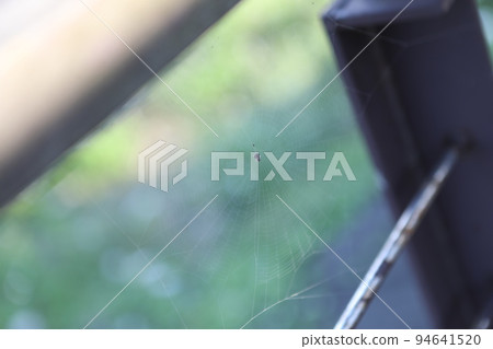 Spider web Spider web 94641520