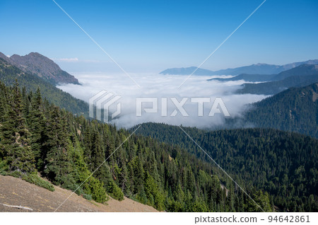 Cloud inversion in Olympic National Park, Washington. 94642861