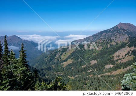 Cloud inversion in Olympic National Park, Washington. 94642869